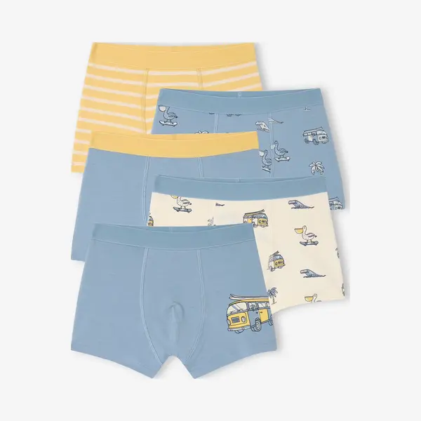 Vertbaudet Set Van 5 Stretch Boxershorts Voor Jongens Hemelsblauw thumbnail
