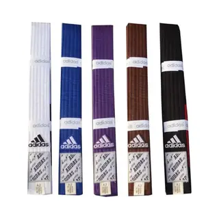 Adidas Bjj-banden Voor Volwassenen | Bruin (Maat, 280)