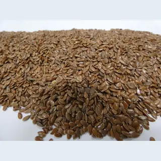 wielink diervoeding Lijnzaad - 1 Kg.