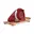 Rood