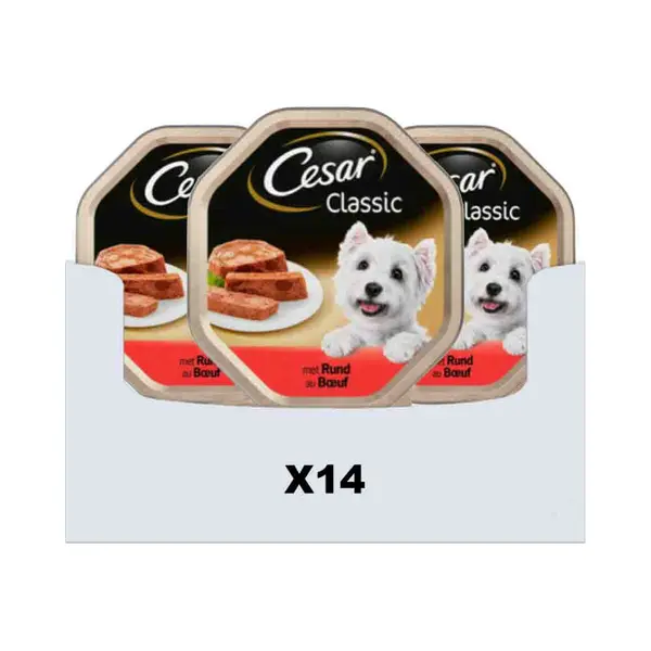 14x Cesar Alu Rund 150 Gr thumbnail