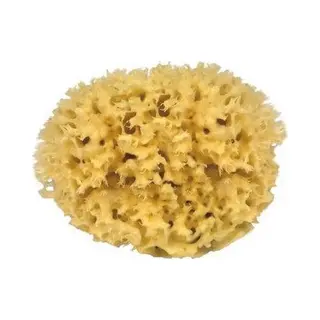 Croll & Denecke Natuurspons – Natuurlijke Spons – Badspons – 100% Natuurlijk & Plasticvrij – ⌀ 10 Cm
