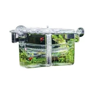 Hobby Aquaristik Nido 4 I 13 X 10 X 11, 5 Cm I Ablaichbecken Mit Luftversorgung I Zum Separieren Von Trächtigen Fischen Und Zur Aufzucht Von