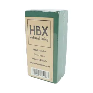 Hbx Natural Living Steekschuim - Oase - Groen - L20 X B10 X H7, 5 Cm - Foam - Rechthoekig