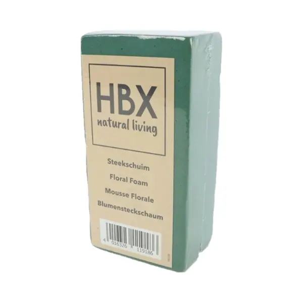 Hbx Natural Living Steekschuim - Oase - Groen - L20 X B10 X H7, 5 Cm - Foam - Rechthoekig thumbnail