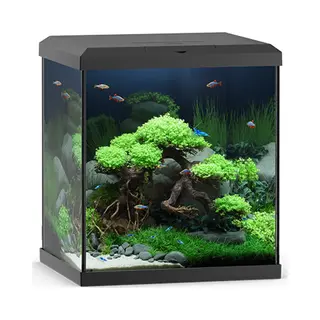 Juwel Aquarium Vio Cube 54 Met Filter Zwart - 54 Liter - 41 X 36 X 47 Cm