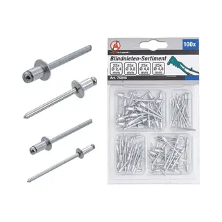Bgs technic Blind Rivets Assortment