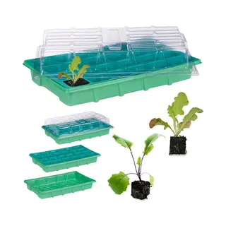 Relaxdays Kweekbak Binnen - Mini Kweekkas Met Deksel - Voor Zaailingen - Vensterbank Groen