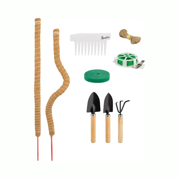 Mosstokken - 65 Cm - Set Van 2 - Met Accessoires - Monstera thumbnail