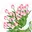 felroze, groen
