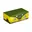 Turtle Bus