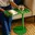 appelgroen