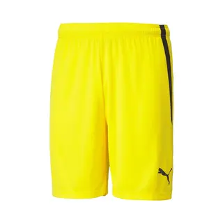Puma TeamLIGA Shorts Jr