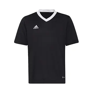Adidas Performance Functioneel Shirt 'Entrada 22' Zwart / Wit