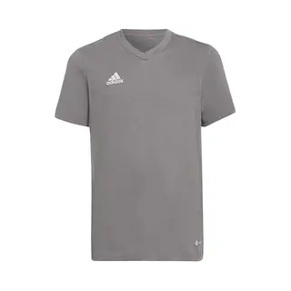 Adidas Performance Entrada 22 Voetbalshirt - Kinderen - Grijs - 164