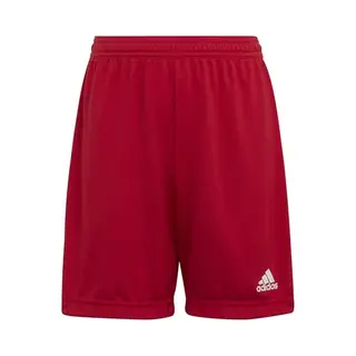 Adidas, Jongens, Sportbroek, Ingang 22 Shorts (128), Blauw, Rood