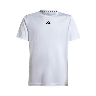 Adidas Train Essentials Logo Regular Fit Kids T-Shirt