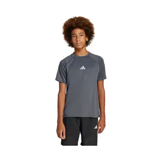 Adidas All Sports Favorite T-Shirt Kids Grey, Size, 152