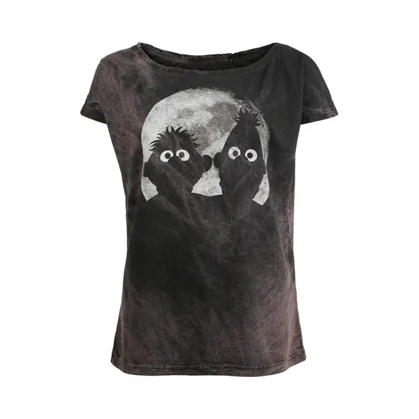 Sesame Street Ernie And Bert - Moonlight T-Shirt Grey thumbnail