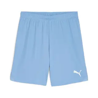 Puma, Herren, Sporthose, TeamGOAL Shorts (L), Blau
