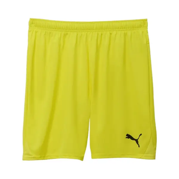 Puma, Herren, Sporthose, TeamGOAL Shorts (L), Gelb thumbnail