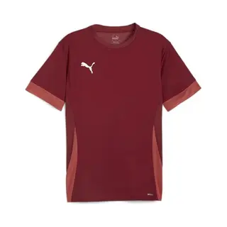 Puma TeamGOAL Matchday Trikot Kinder - Bordeaux-140
