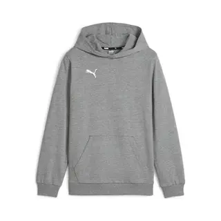 Puma Jungen Teamgoal Casuals Hoody Jr Pullover, Medium Gray Heather-Puma White, 116 Eu
