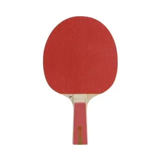 Dunlop Sports Dunlop Nitro Table Tennis Racket For Beginners, Red/Black