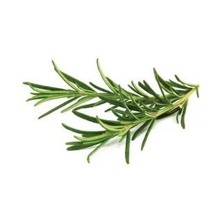 Click & Grow SGR51x3 3 stuk(s) Navulling