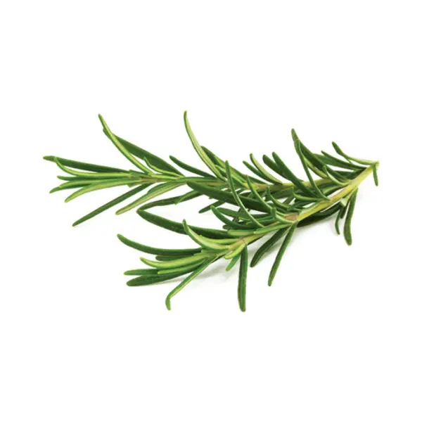 Click & Grow SGR51x3 3 stuk(s) Navulling thumbnail