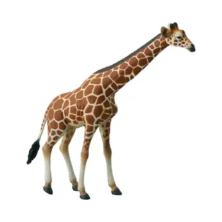 CollectA Reticulated Giraffe