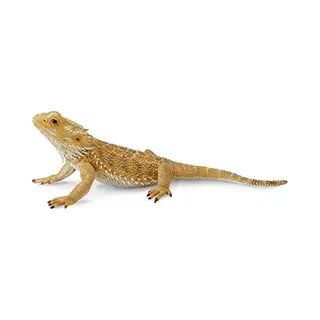 CollectA Bearded Dragon Lizard