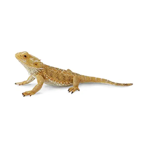 CollectA Bearded Dragon Lizard thumbnail