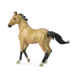 CollectA Akhal-Teke Mare Buckskin