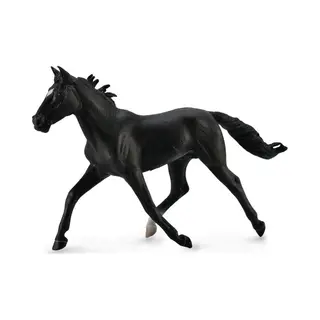 CollectA Standardbred Pacer Stallion - Black (Collectible Figure, 18.5cm X 11.3cm, Pvc Phthalate-free)