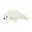 Wit