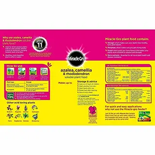 Miracle-Gro Azalea, Camellia & Rhododendron Plant Food
