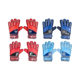Team Merchandise Goalkeepers Gloves
