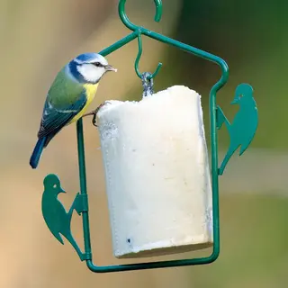 Wildlife - Aufhängung Für Energiekuchen, Grün 20, 5 X 13 X 0, 5 Cm Vogelfutterspender