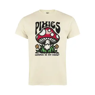 Pixies Mindshroom Band Logo T-Shirt In Natural | Size, Xl