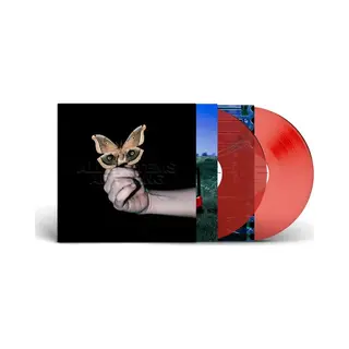 Because Music All Systems Are Lying [Vinyl]