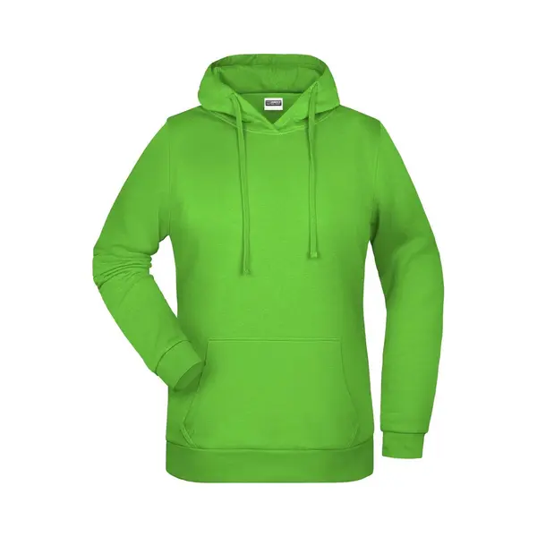 James & Nicholson James And Nicholson Vrouwen/dames Basic Hoodie (Kalk Groen) thumbnail