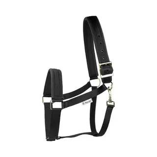 Bucas Halfter Comfort Halter Black/Black Pony | Kavalio - Für Mich Und Mein Pferd