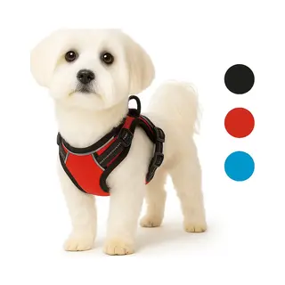 Flamingo Hundegeschirr - Hundegeschirr Kleine Hunde - 31–55cm A. Brust / 40–55cm B. Bauch Harness Balou Rot S