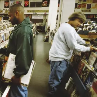 Pias Nederland Dj Shadow - Endtroducing..... (2 Lp) (Remastered)
