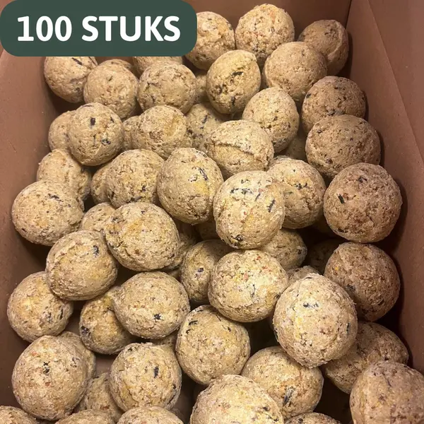 Famiflora Meisenzwiebeln Ohne Netz - 100 Fettkugeln à 90 Gramm - Nahrhafter Genuss Für Gartenvögel - Ohne Ordentlich, Sicherer Für Vögel Und thumbnail