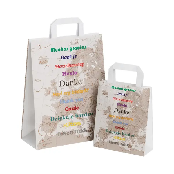 Packadi 50 Kleine Papieren Bedanktasjes "Heel Erg Bedankt" 18x8x22 Cm Draagtassen Papier Met Vlak Handgrepen - Kraft Tasjes Met Handvat – Zakjes thumbnail