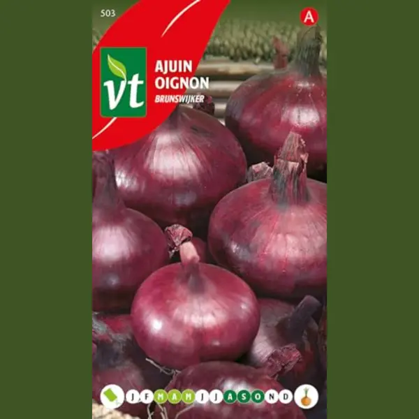 Vt Ajuin Brunswijker - Rode Bewaarajuin Met Ronde Vorm En Pittige Smaak thumbnail
