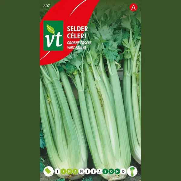 Vt Selderij 'Groene Pascal' Zaden - Knapperige En Aromatische Stengels thumbnail