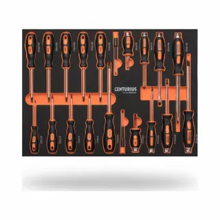 Schroevendraaierset - Met Torx - 21-delig - In Softmodule - Voor Fijnmechanisch Werk | Centurius